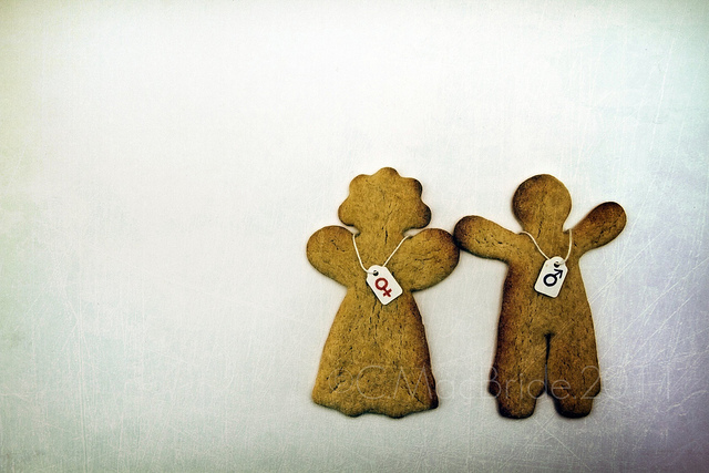 Should Gender Be a Factor When Selecting a Divorce Attorney?